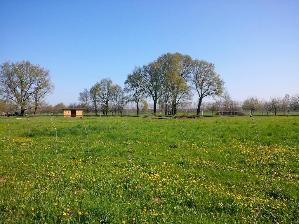 Ferienhof Idyll Am Kleinen Fliess Burg  Exterior foto