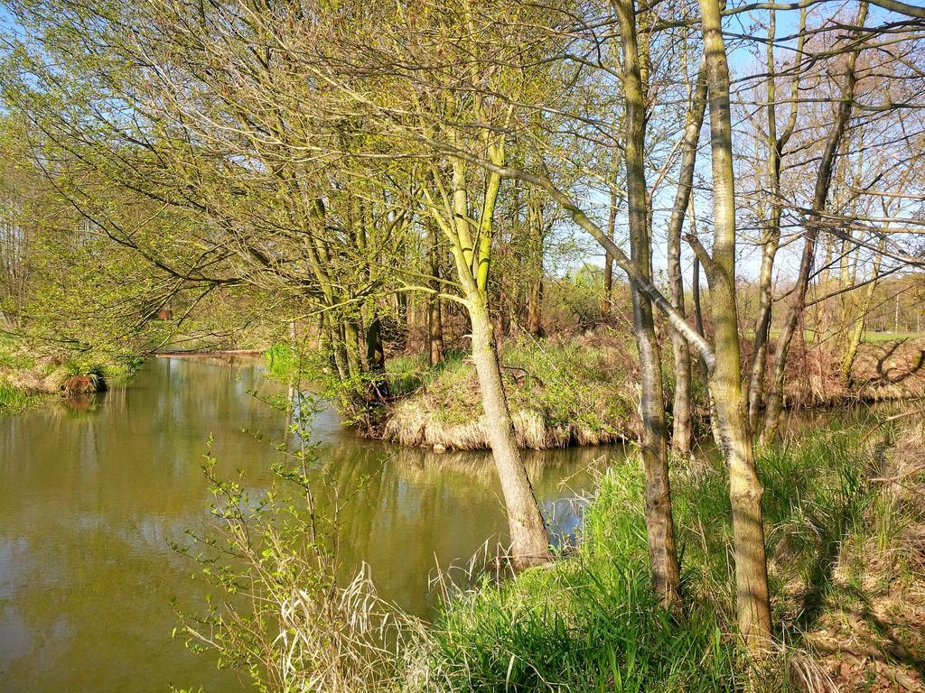 Ferienhof Idyll Am Kleinen Fliess Burg  Exterior foto