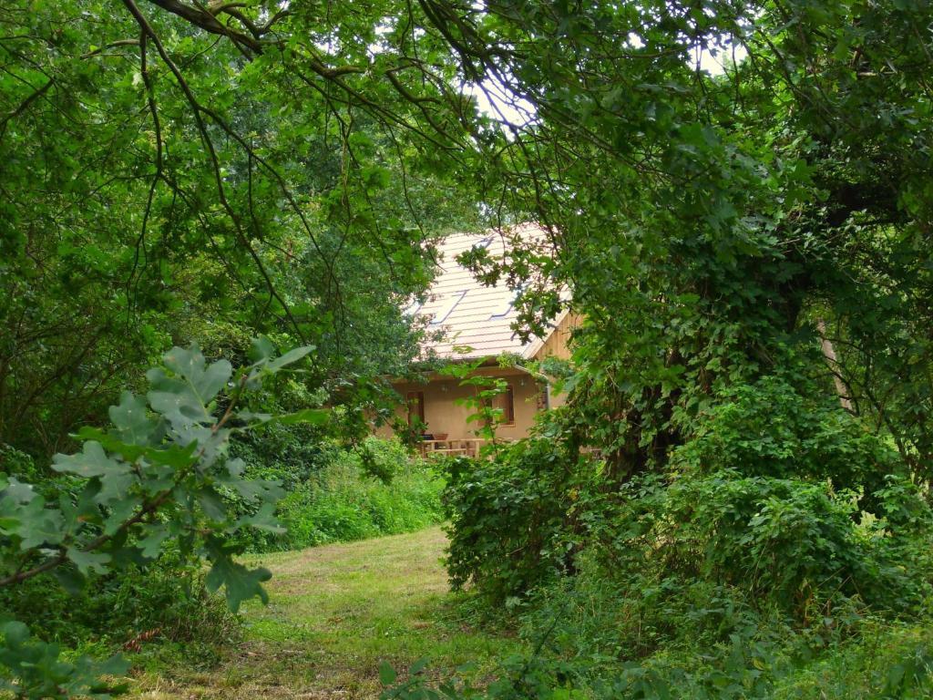 Ferienhof Idyll Am Kleinen Fliess Burg  Exterior foto